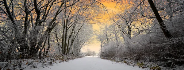 Neve inverno natal caminhada caminhadas inverno país das maravilhas gelo geada — Fotografia de Stock