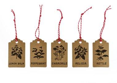 kalkan otlar melissa ısırgan papatya nane limon balm