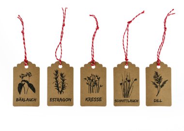 kalkan otlar tarhun cress bıçaklamak pırasa dereotu süngü