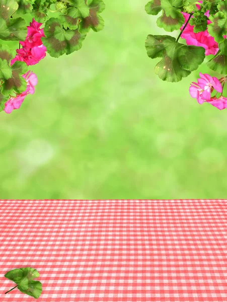 Geranien Hintergrund rot rosa Sommer Garten Pflanze Dekoration — Stockfoto