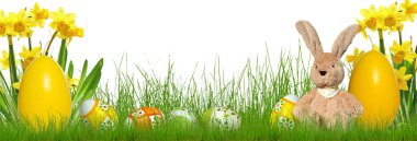 Paskalya bunny yumurta çayır peluş oyuncak afiş bahar çimen