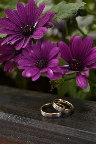 Wedding marry ring engagement love gold flowers — Stock Photo, Image