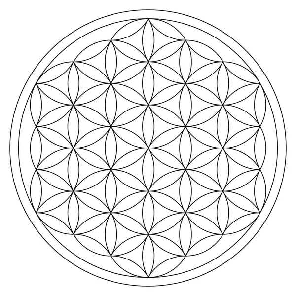 Altın izole hayat süs süsleme çiçek ücretsiz