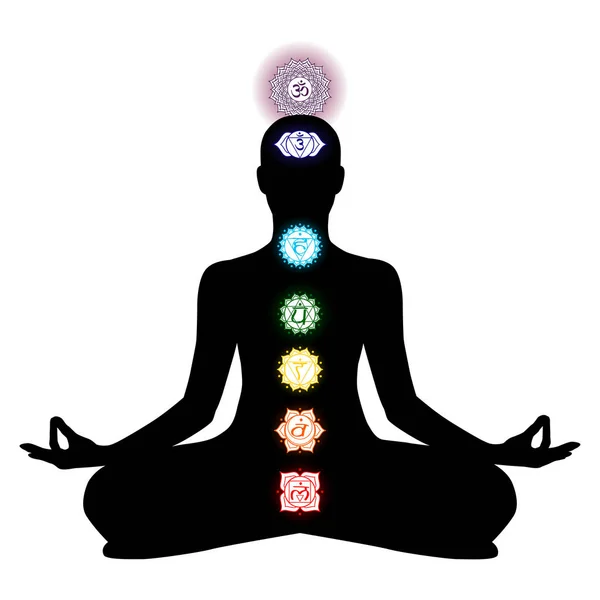 Chakra, cakra, tântrico, hinduísmo, budismo, vajrayana, meditação, ioga — Vetor de Stock