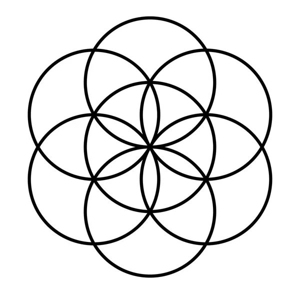 tohum oluşturma süreci yaşam tohumları genesis nimet koruma vakfı