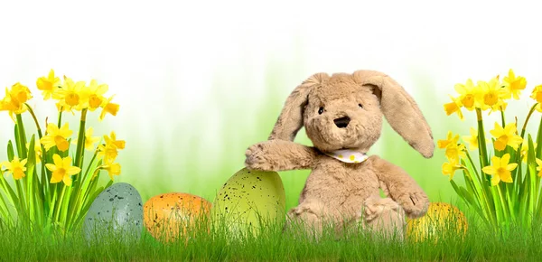 Pâques lapin oeufs herbe prairie peluche jouet bannière printemps — Photo
