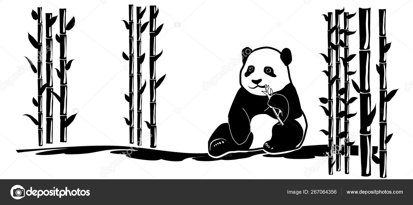 Animal Wall Decal Panda Bamboo Tatoo Bear China Japan Asian Stock