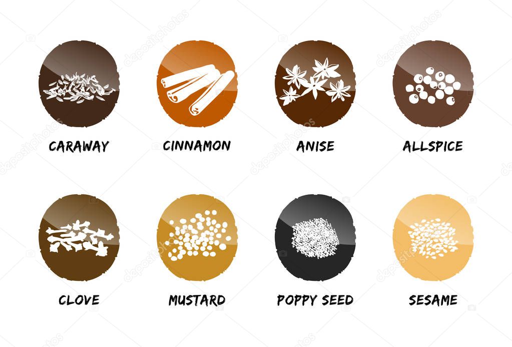 spices icon buttons vector seasonings tasty stamp refine flavor