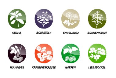 bitki yeşil baharat aşçı lezzet aroması büyümek