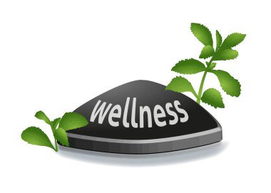 Doğa olağanüstü taş vektör yeşil çakıl çevre