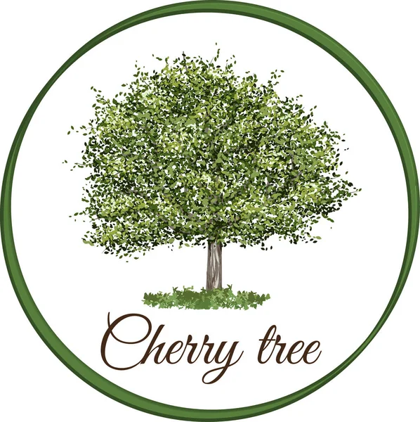 tek yapraklarla çizilmiş vektör olarak kiraz ağacı