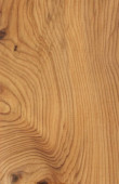 tisová dřevo strom vzor vzorky přírodní venkovské dřevo