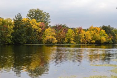 Nehir kıyısındaki sonbahar ormanı