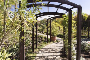 Donetsk Botanik bahçesinde sonbaharda Arch