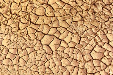 Çatlaklarla kurumuş toprak. Doğal arkaplan yakın plan