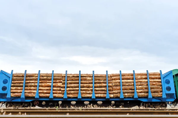 Vagões Mercadorias Carregados Com Troncos Trilhos Ferroviários Transporte Florestas Abatidas — Fotografia de Stock