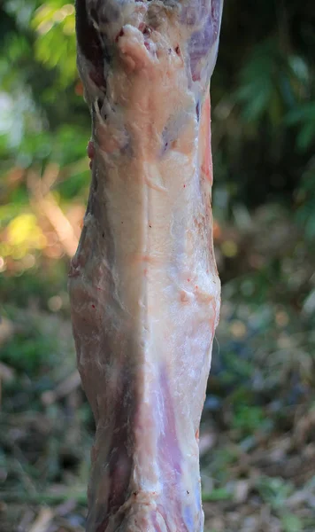 Desollado Completado Carne Fresca Cabra Lista Para Cocinar — Foto de Stock