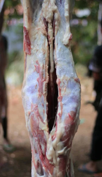 Desollado Completado Carne Fresca Cabra Lista Para Cocinar — Foto de Stock