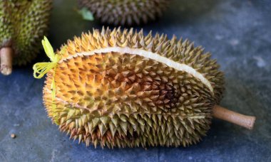 Durio zibethinus veya Durian meyvem, Magelang Regency, Endonezya.