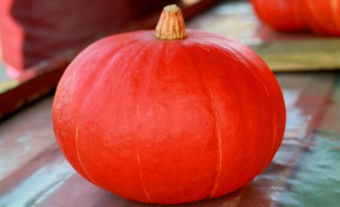 Kabocha veya Japonca kabak. Kış kabak, türler Cucurbita maxima Japon çeşitli tip.