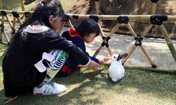 Bandung Indonesien Juli 2018 Kinder Füttern Kaninchen Mit Karotte Schwimmenden — Stockfoto