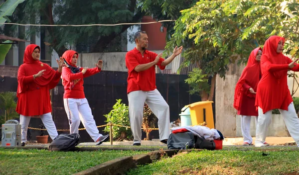 Depok Indonesia August 2018 Elderly People Practicing Tai Chi Park — Stock Photo, Image