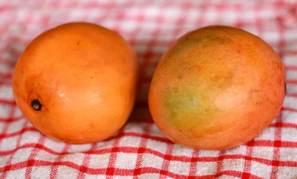 Gedong Gincu Mango Tipo Mango Indonesia — Foto Stock