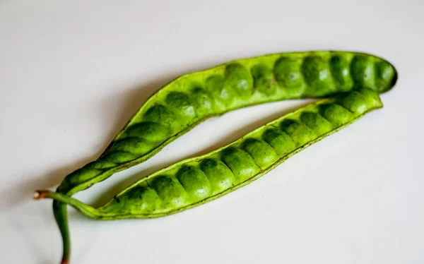 Πικρή Φασολιών Parkia Speciosa Λευκό Φόντο — Φωτογραφία Αρχείου