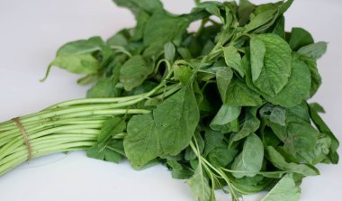 a bohça-in beyaz zemin üzerine taze ıspanak.