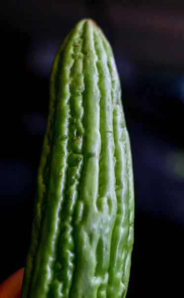 Gorzki Melon Czarnym Tle Zdrowa Żywność — Zdjęcie stockowe