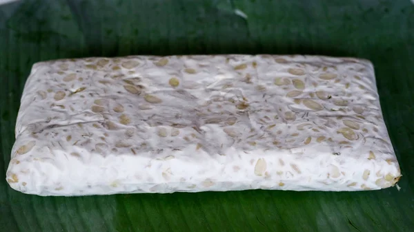 Tempeh Crudo Hoja Plátano Tempeh Producto Soja Tradicional Originario Indonesia —  Fotos de Stock