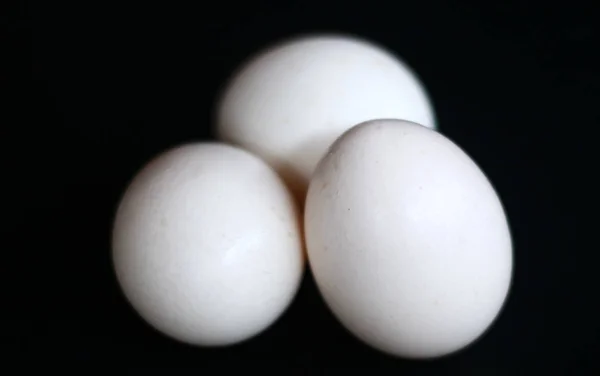 Oeufs Poulet Kampung Telur Ayam Kampung Sur Fond Noir — Photo