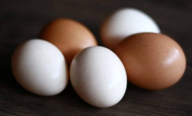 Tavuk yumurtası (kahverengi) ve kampong tavuk yumurtası (beyaz) ahşap arka plan üzerinde.