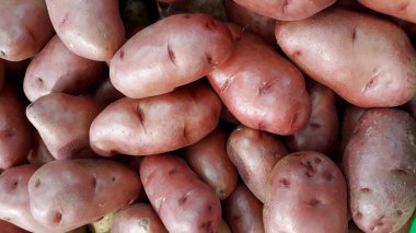 Kırmızı patates veya Solanum tuberosum. Çorbalar ve onların sıkılığını ve doku nedeniyle patates salata için mükemmel bir seçim. 