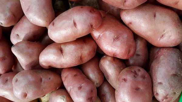 Червона Картопля Або Соляний Туберкульоз Ідеальний Вибір Супів Картопляних Салатів — стокове фото