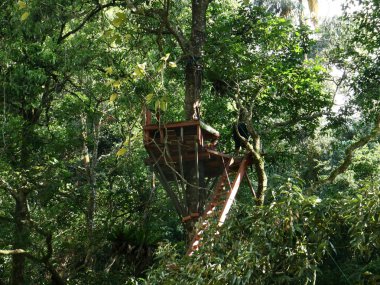 Bogor, Endonezya - 23 Mayıs 2019: Telaga warna veya Warna Gölü'ndeki kuş izleme merkezi.