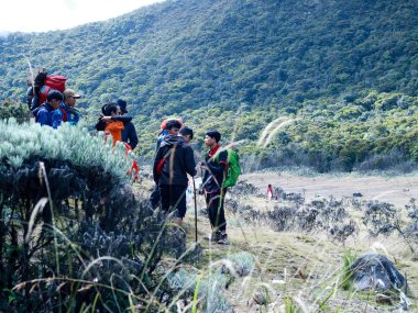 Bogor, Endonezya - 15 Haziran 2019: Bilinmeyen dağcılar Batı Java'daki Gede Dağı'nın tepesine doğru yürüdü.