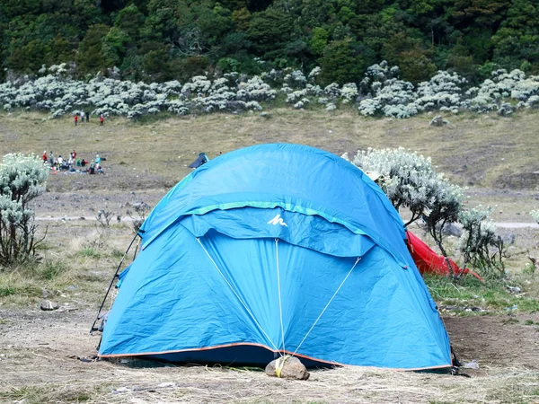 Bogor Indonézia Június 2019 Sátoros Mászó Mount Gede Nyugat Jáva — Stock Fotó