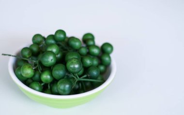 Beyaz arka planda Leunca veya Solanum nigrum. 