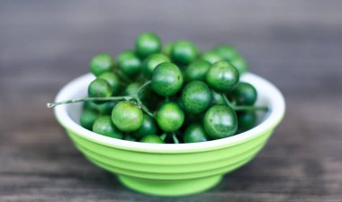 Ahşap arka planda Leunca veya Solanum nigrum. 