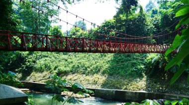 Bogor, Endonezya - 20 Ekim 2019: Batı Java 'daki Bogor Botanik Bahçeleri' nde asma köprü (jembatan gantung). 