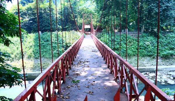 Bogor Indonesia Octubre 2019 Puente Colgante Jembatan Gantung Jardín Botánico — Foto de Stock