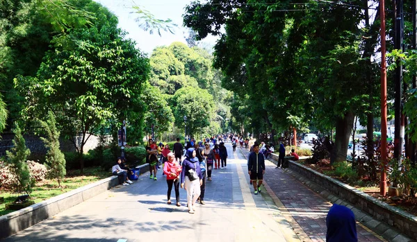 Bogor Indonésia Outubro 2019 Pessoas Exercitam Calçada Lado Dos Jardins — Fotografia de Stock