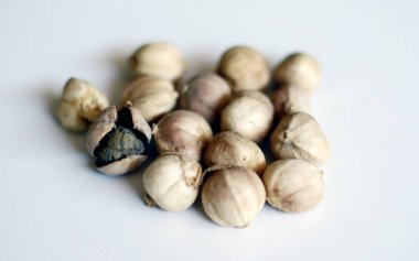 Beyaz arkaplanda kurumuş kardamon.