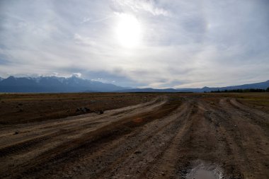 uzak Asya'da vahşi bozkır