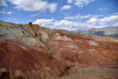 Kırmızı vahşi bozkır ülkesinde