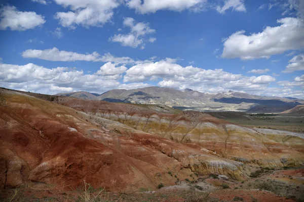 Terre Rouge Dans Steppe Sauvage — Photo