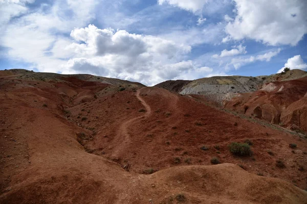 Rode Grond Het Wild Steppe — Stockfoto