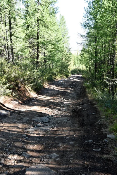 Asfaltsız kayalık yol dağlara
