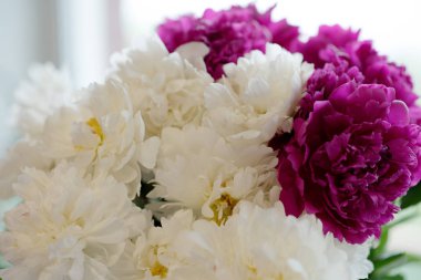 Beyaz ve kırmızı şakayık buketi